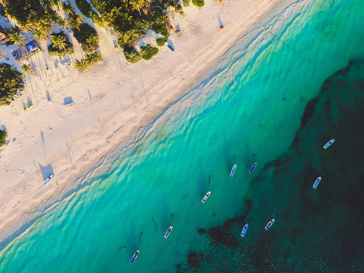 Che Playa Hostel & Bar Adults Only Playa del Carmen Mexico