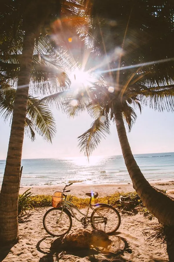 Che Playa Hostel & Bar Adults Only Playa del Carmen